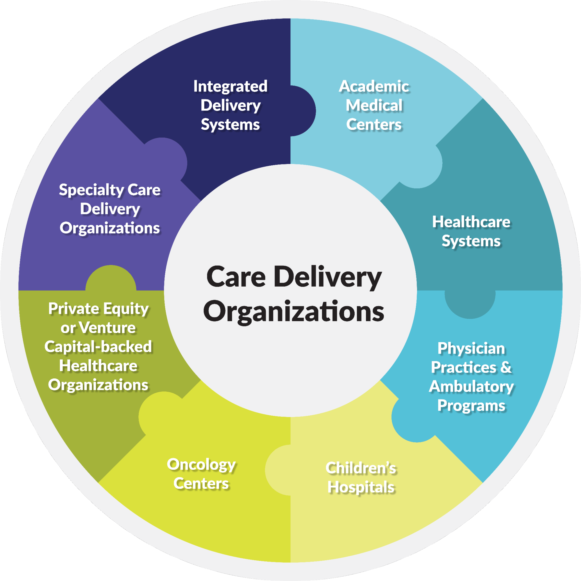 Executive Search care delivery organizations